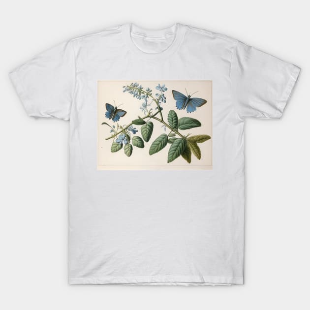 Vintage Butterflies T-Shirt by Walter WhatsHisFace